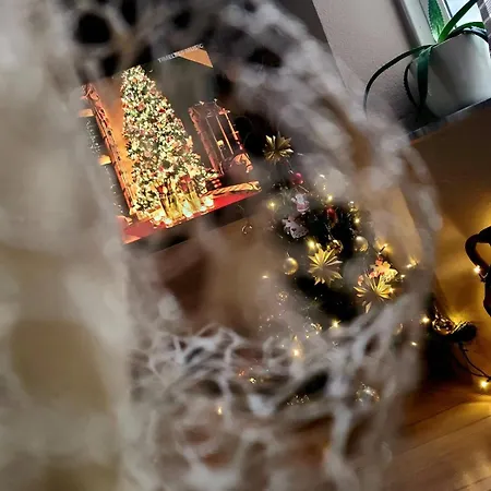 My Guest Base Τίρανα