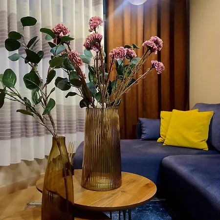 דירה My Guest Base טיראנה